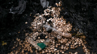 Des pilules de Captagon brûlées et jetés au sol après leur découverte dans un bâtiment jouxtant l'aéroport militaire de Mazzeh, à l'ouest de Damas, le 12 décembre 2024.