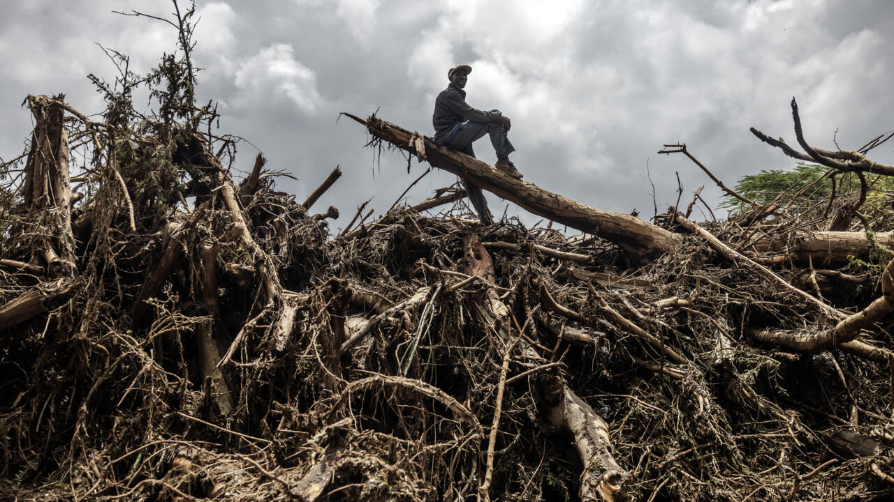 Climate scientists say that global warming drives extreme weather like storms, floods and heatwaves, making these disasters more frequent and intense.
