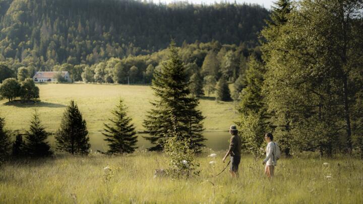 Les Montagnes du Jura, un trésor naturel français méconnu