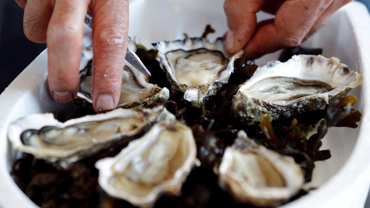 Oysters displayed at Île de Ré in France.