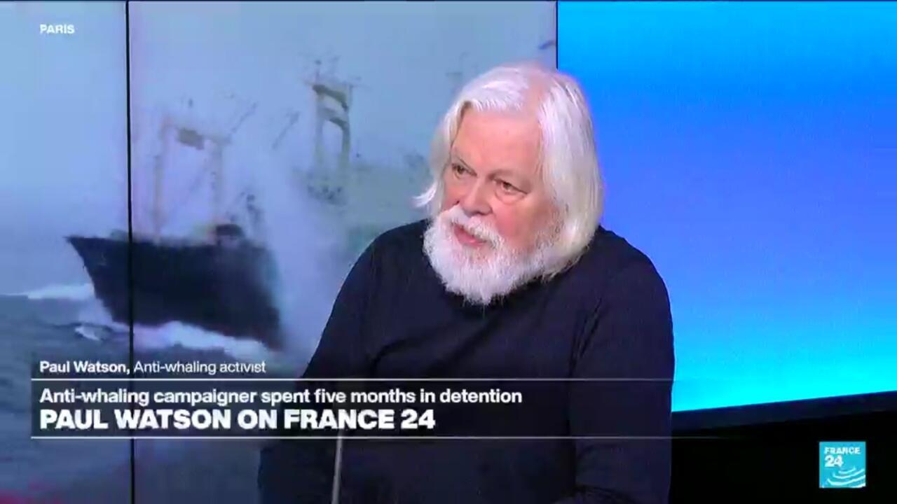 Anti-whaling activist Paul Watson