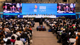 A view of the closing session at the United Nations COP16 nature summit in Cali, Colombia, November 1, 2024.