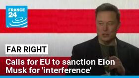 Europe's far right: Calls for EU to sanction Elon Musk for 'interference'