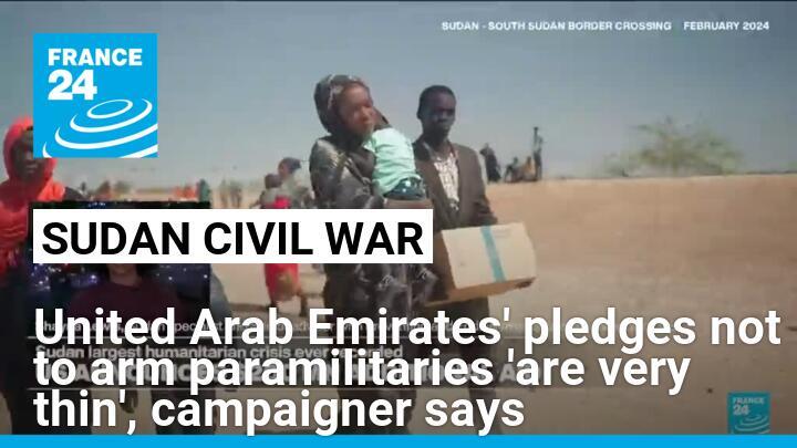 United Arab Emirates' pledges not to arm paramilitaries 'are very thin', campaigner says